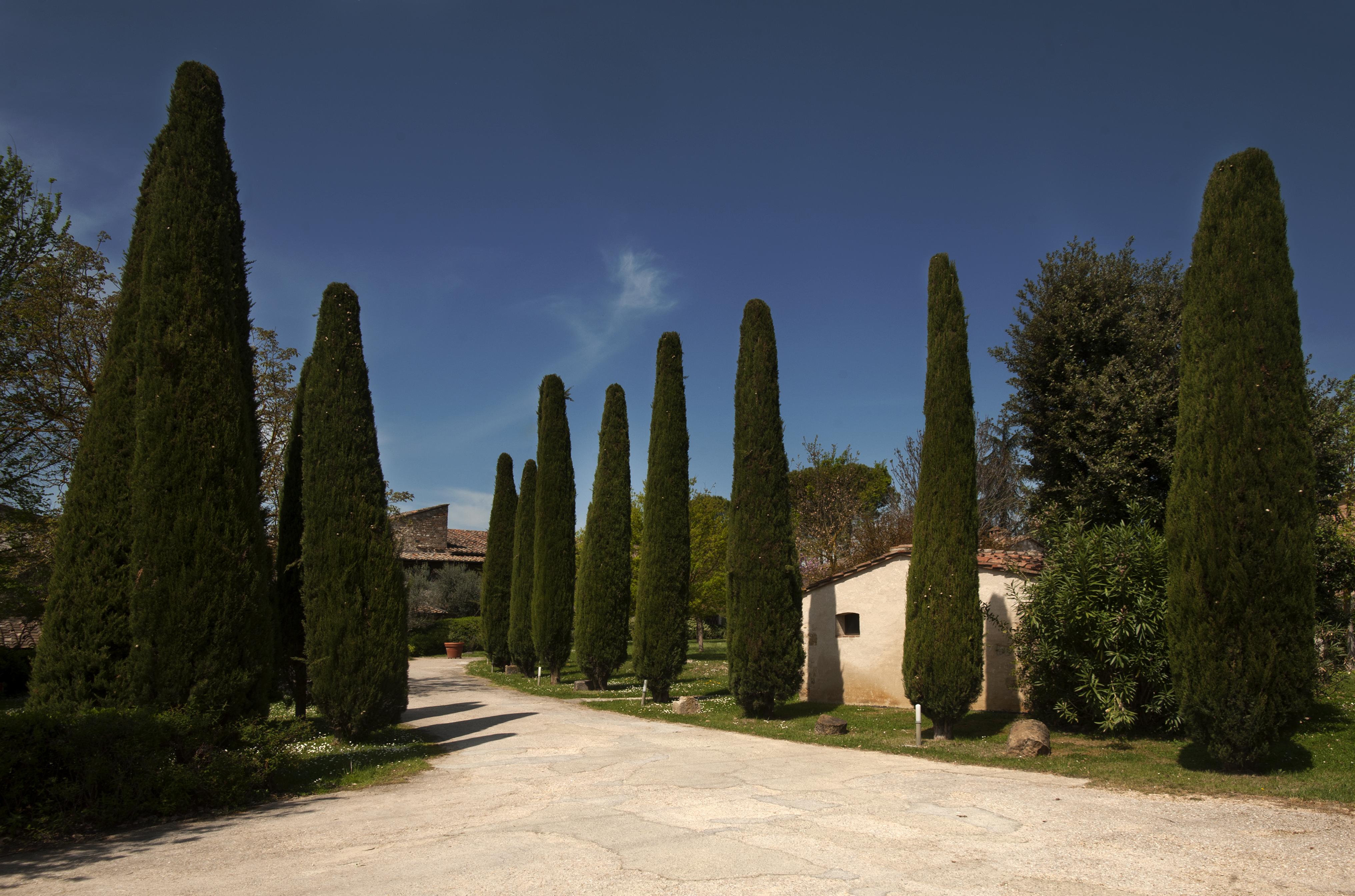 Relais Della Rovere Colle Val D'Elsa Extérieur photo